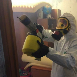 Уничтожение клопов в квартире. Третьяковская